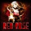 Avatar of user Red Rose