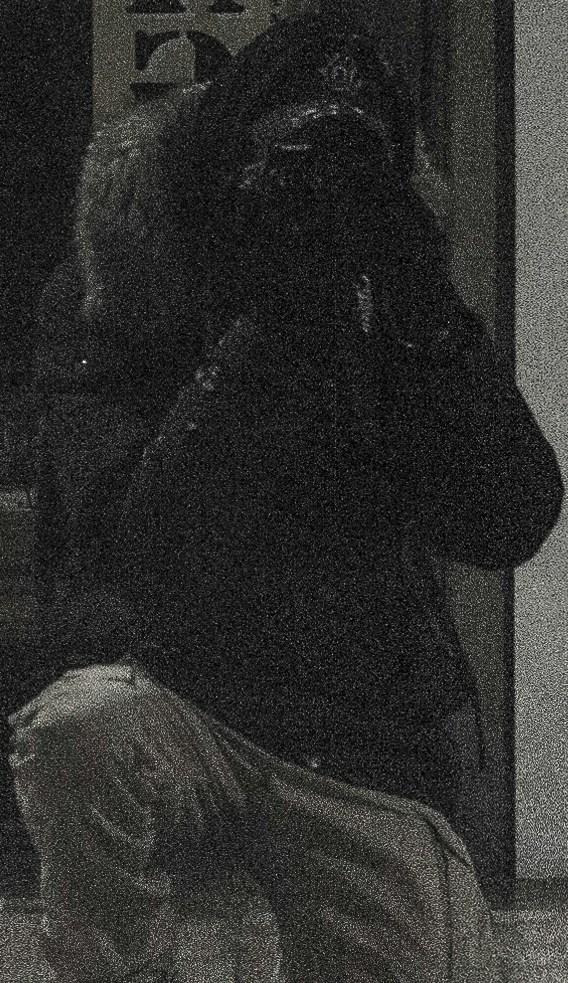 Ve al perfil de Hugo Chimier