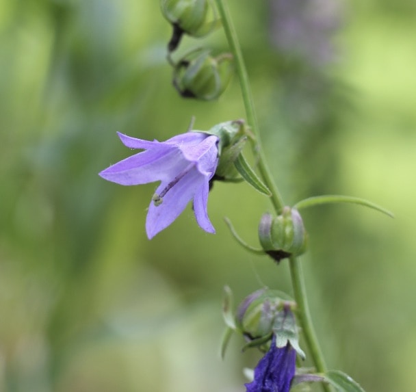 Go to wisconsinpictures's profile