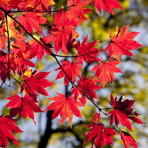 Go to Martin's profile