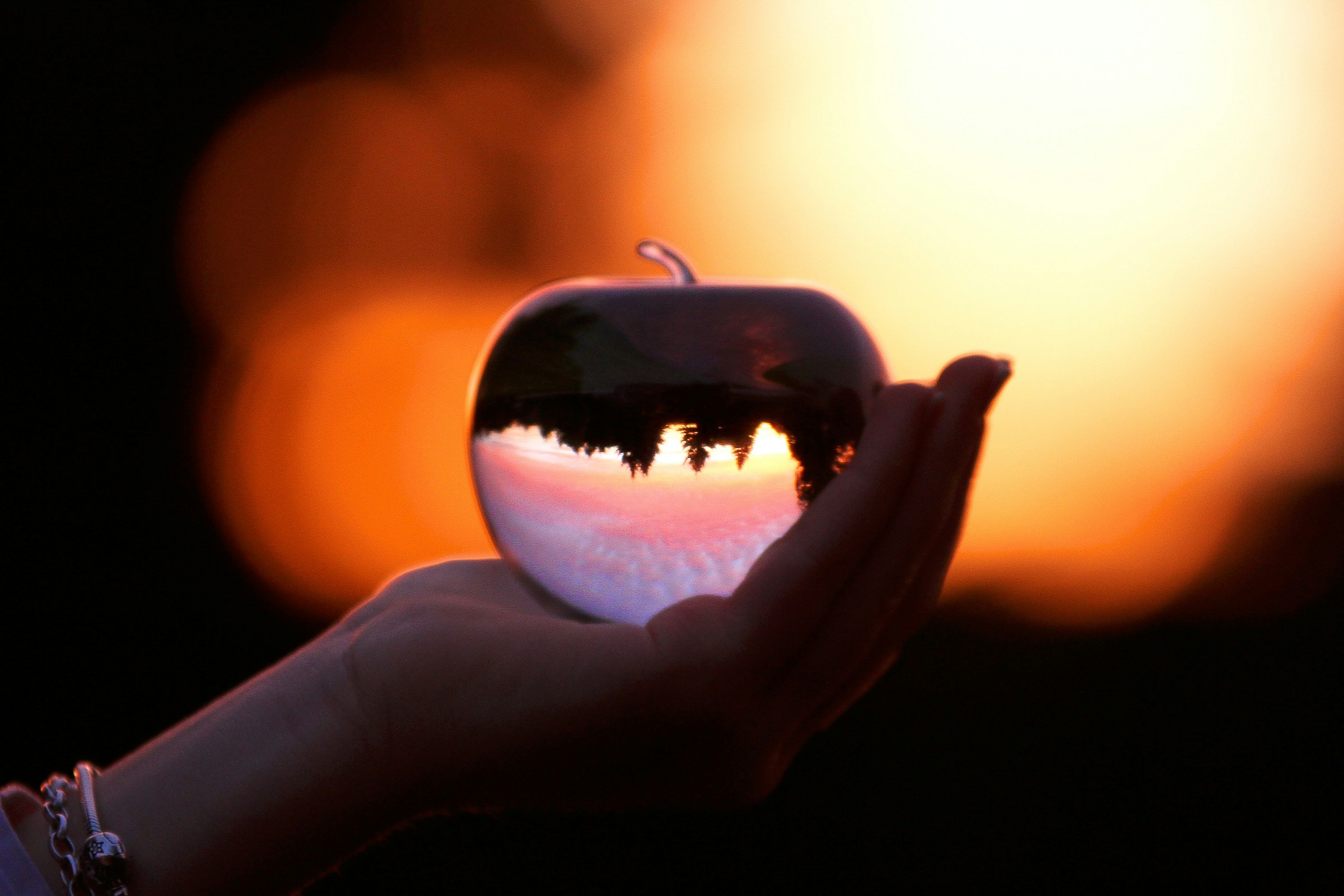 Go to Amanda Flavell's profile