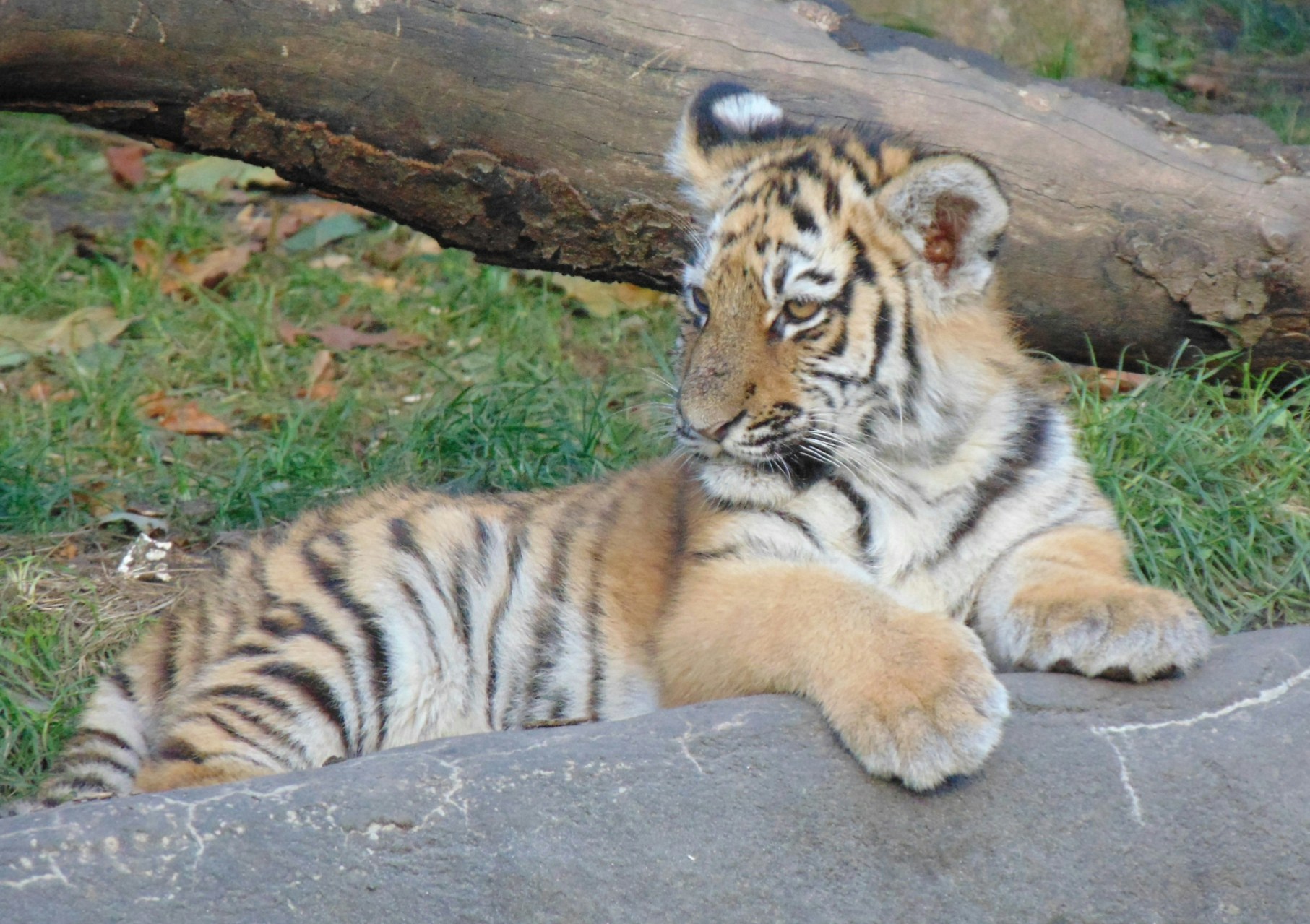 Go to Mika Brandt's profile