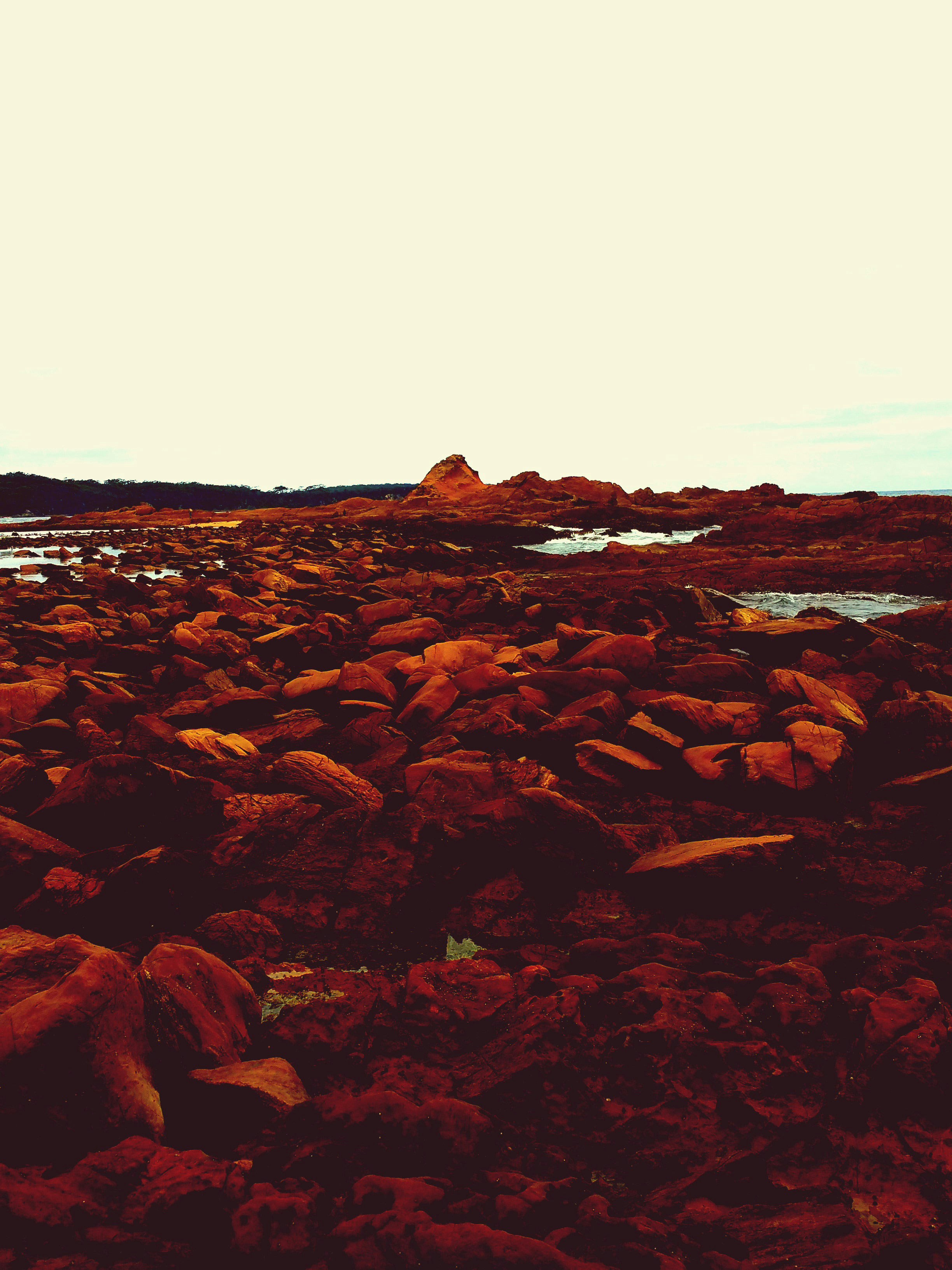 Ve al perfil de unscriptedMe