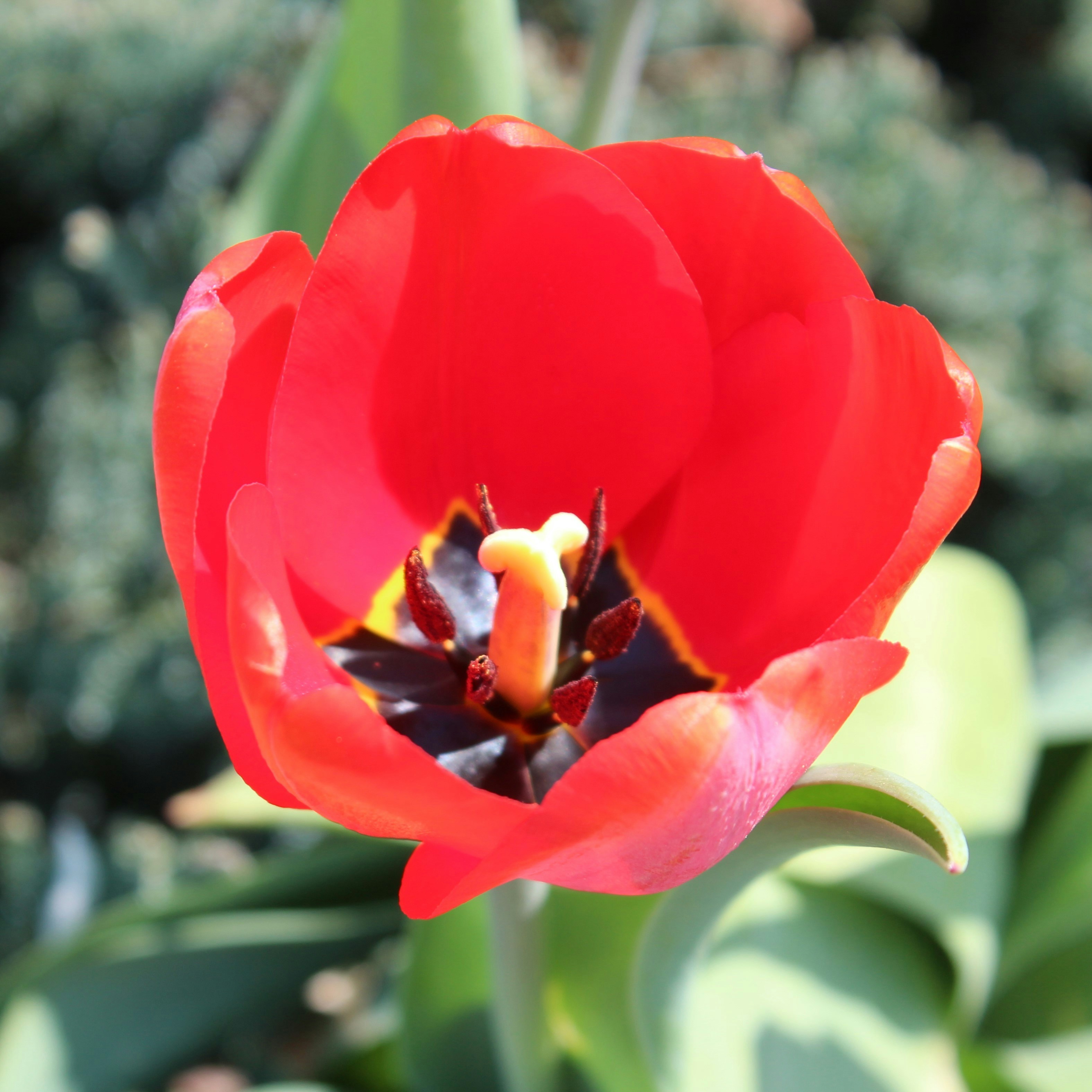 Go to Rebecca Freeman's profile