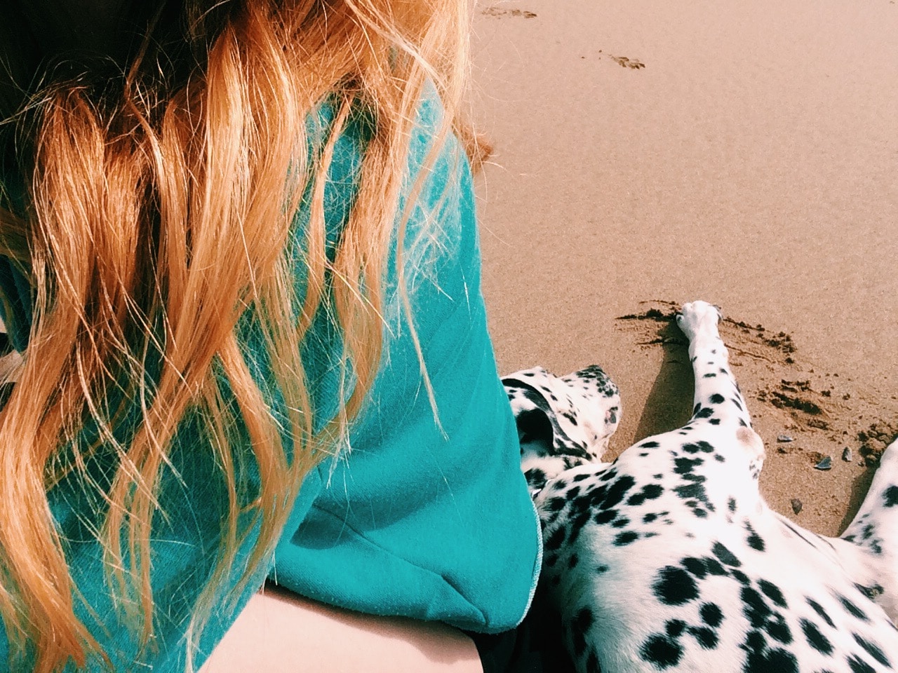 Go to Pommelien da Silva Cosme's profile