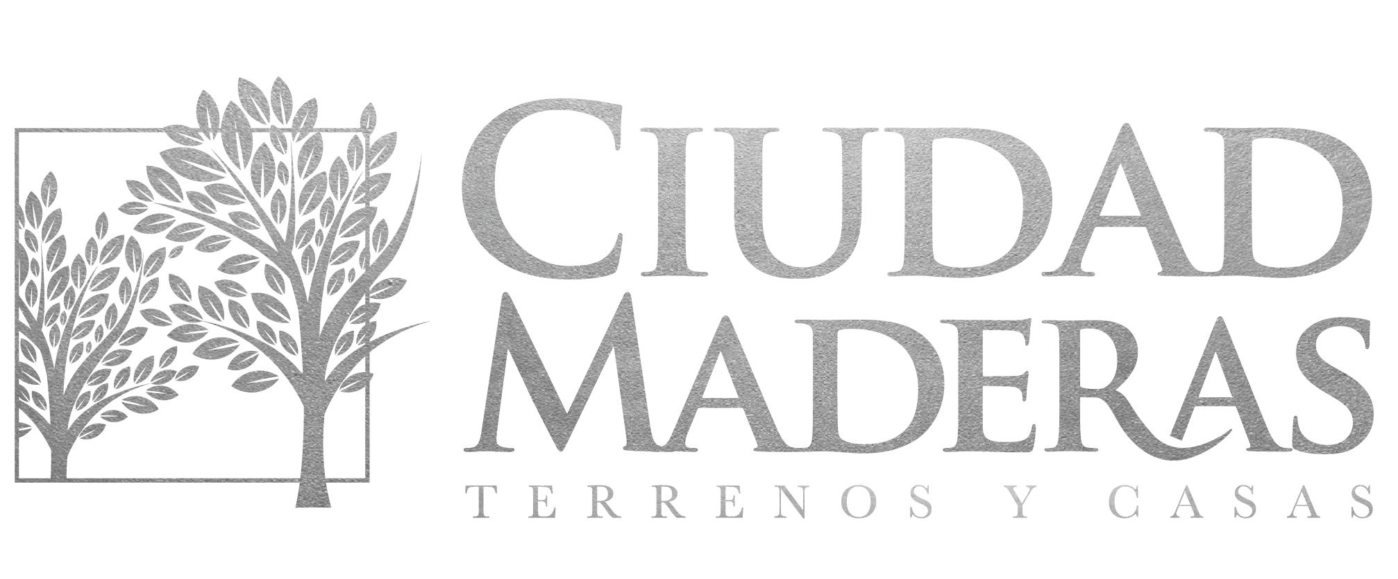 Ir para o perfil de Ciudad Maderas