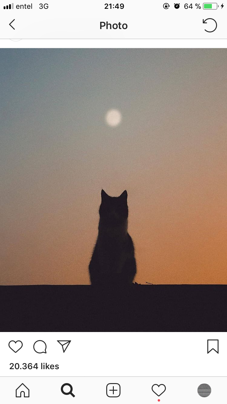 Avatar of user Darkness