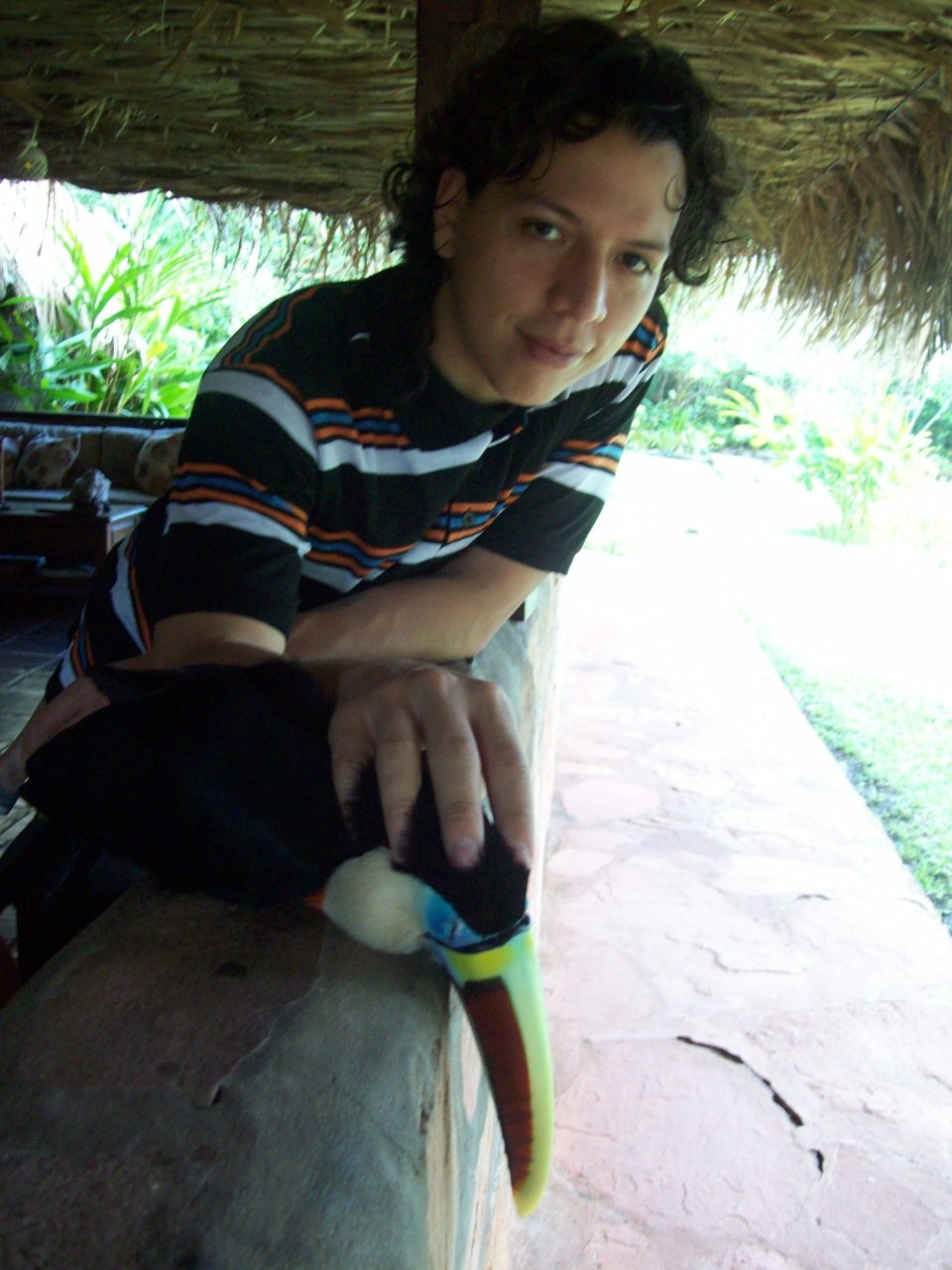 Zum Profil von Manolo Gomes