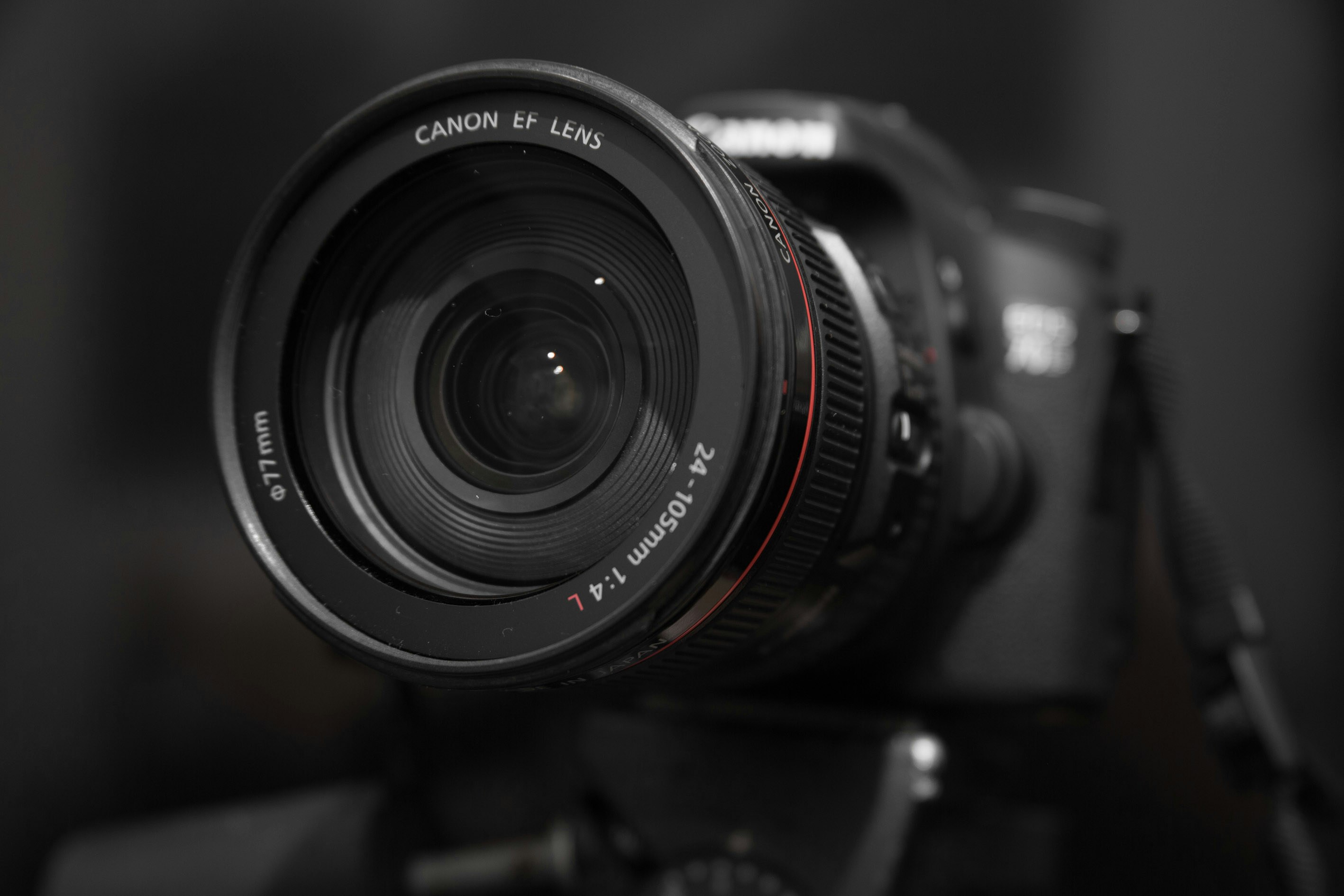 Go to Robin McSkelly's profile