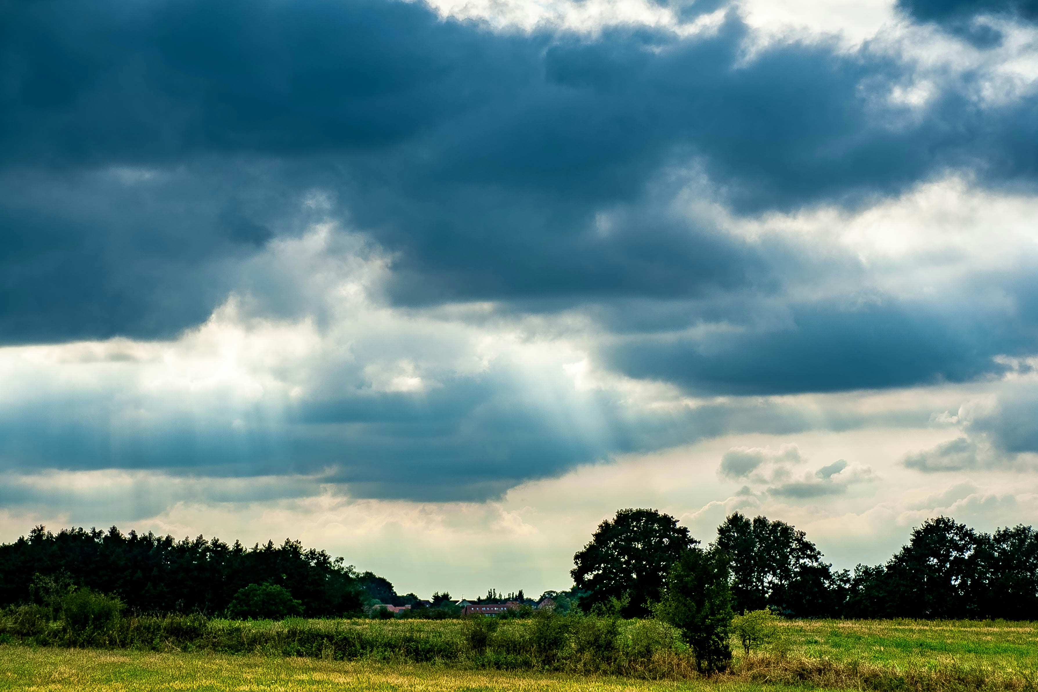 Go to Robin St's profile