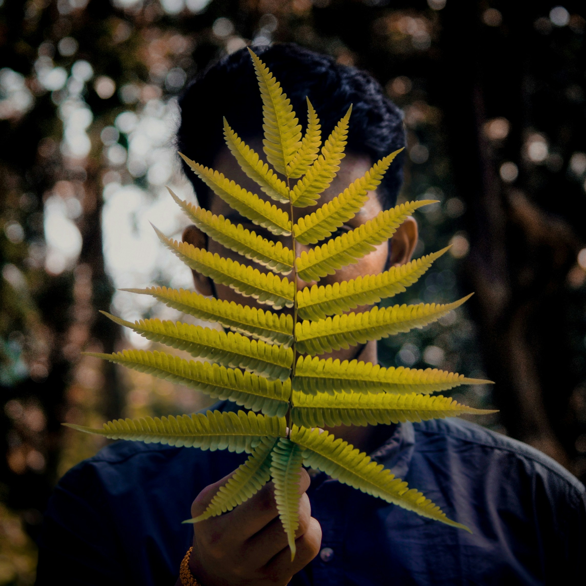 Go to Swapnil Shetty's profile