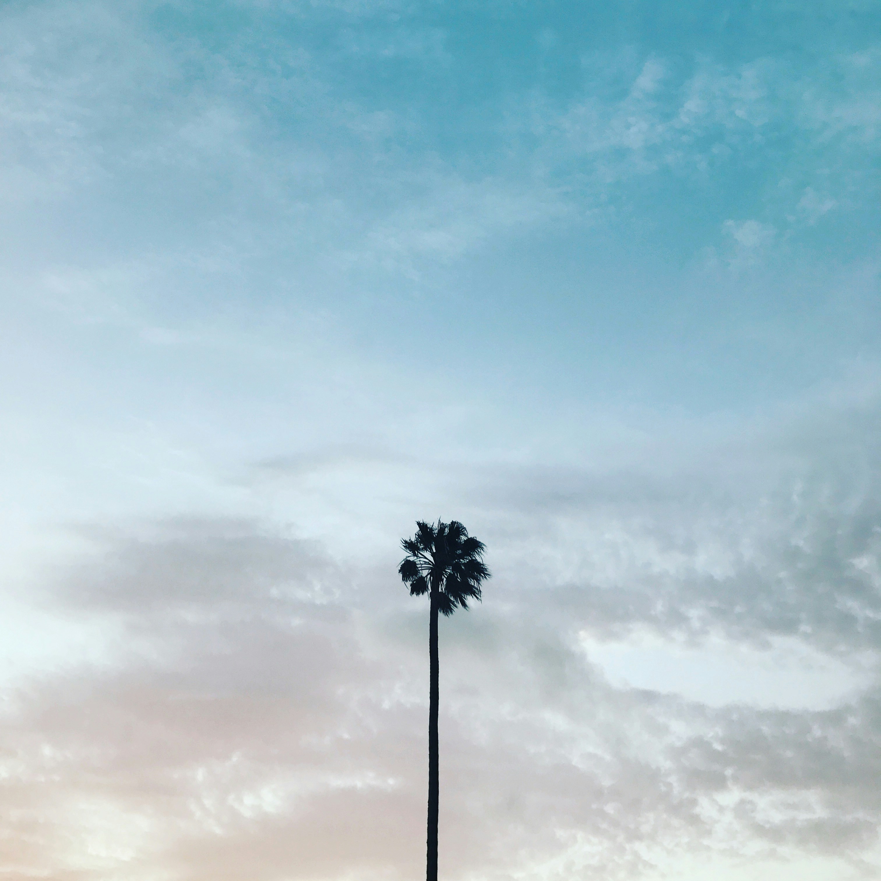 Go to Ian Badenhorst's profile