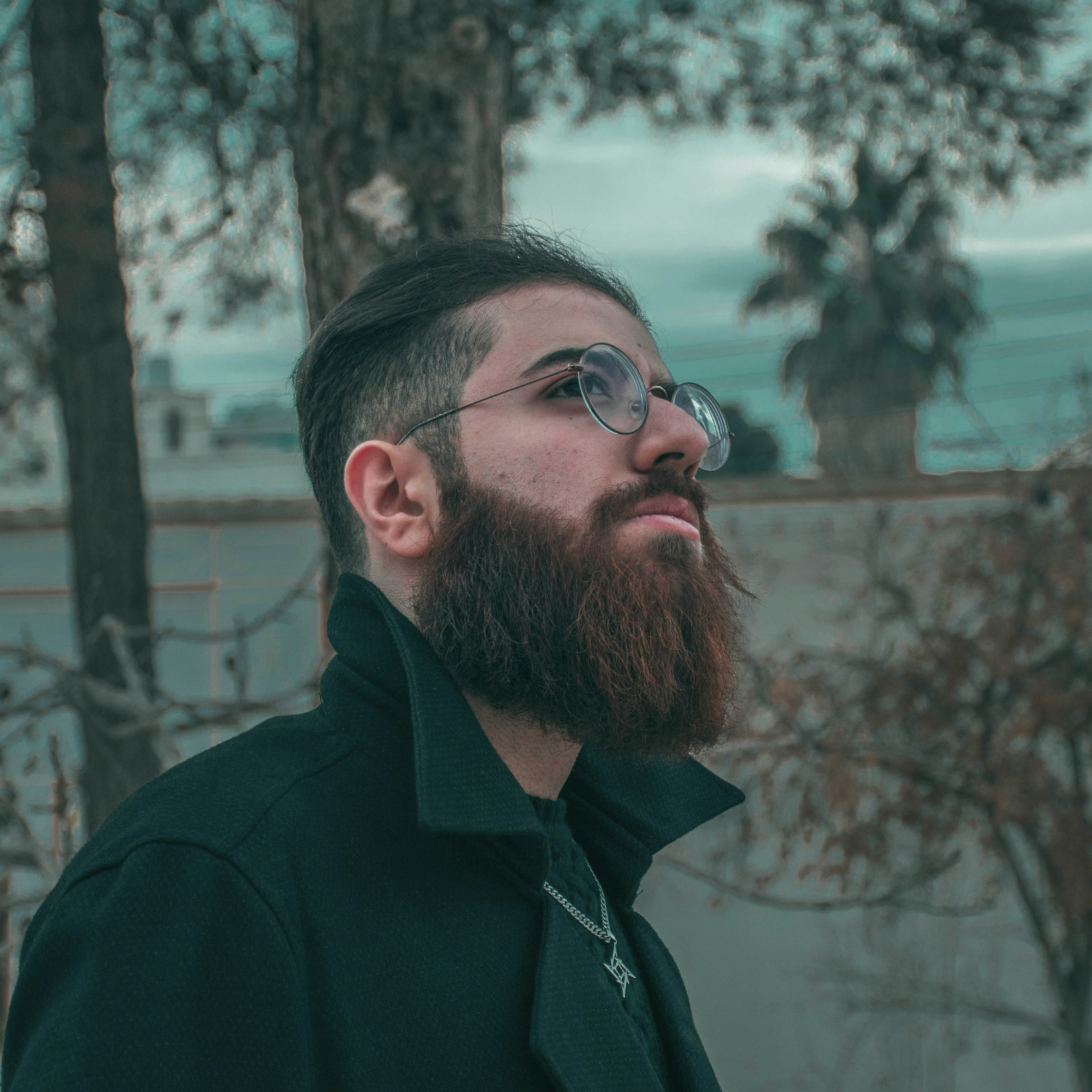 Zum Profil von Armin Lotfi