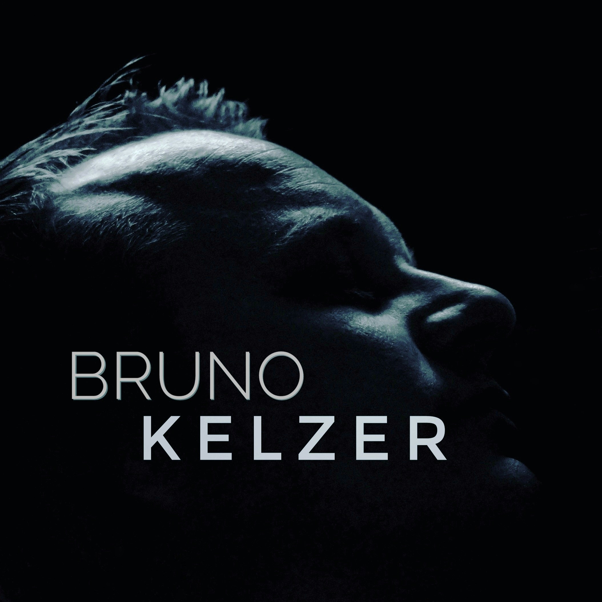 Go to Bruno Kelzer's profile