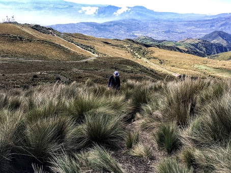 Go to Kylli Kittus's profile