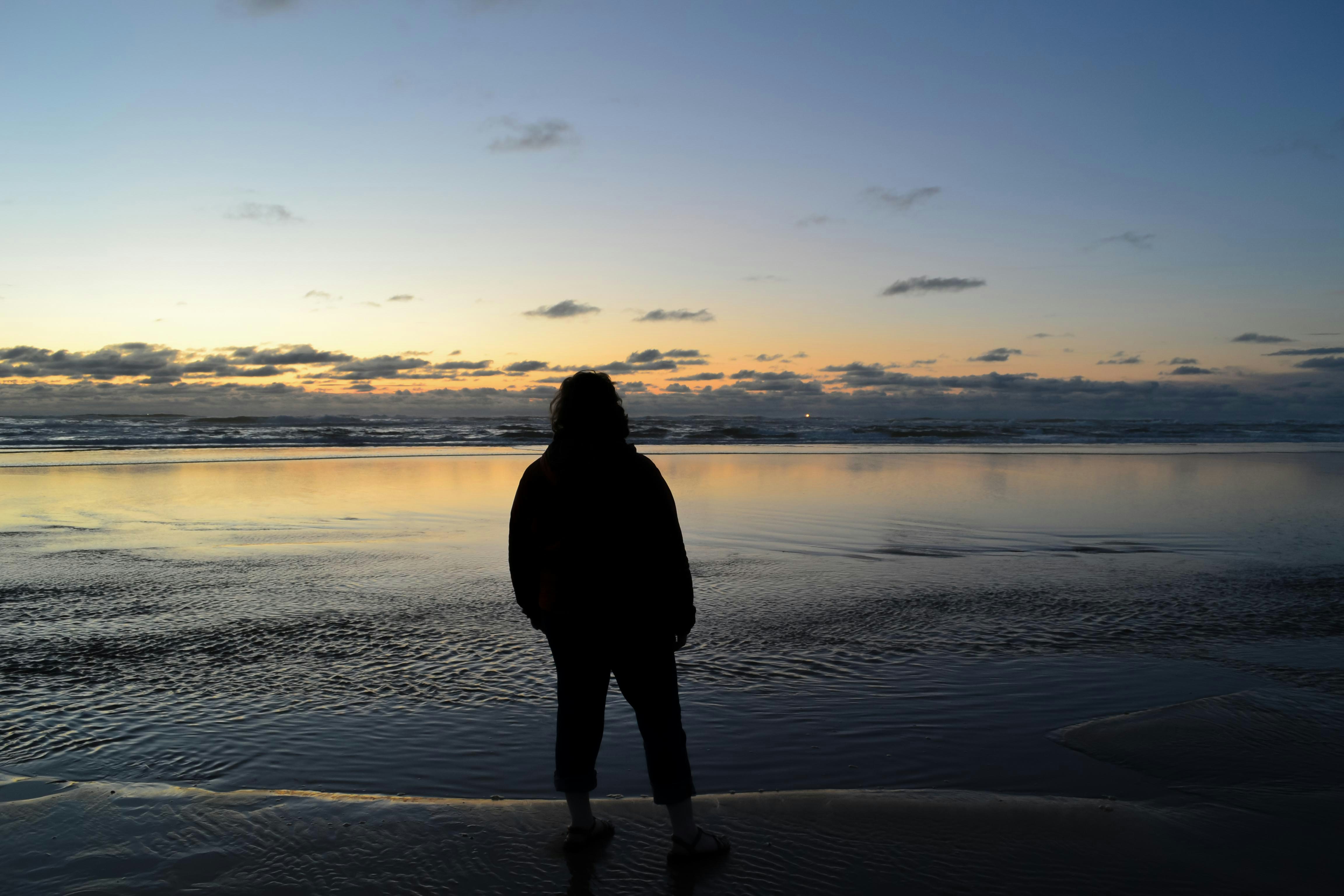 Go to Anneli Joplin's profile