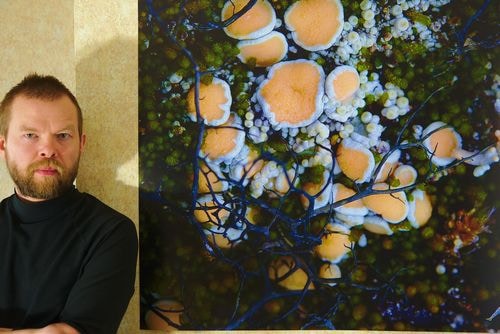 Go to Alexey Melechin's profile