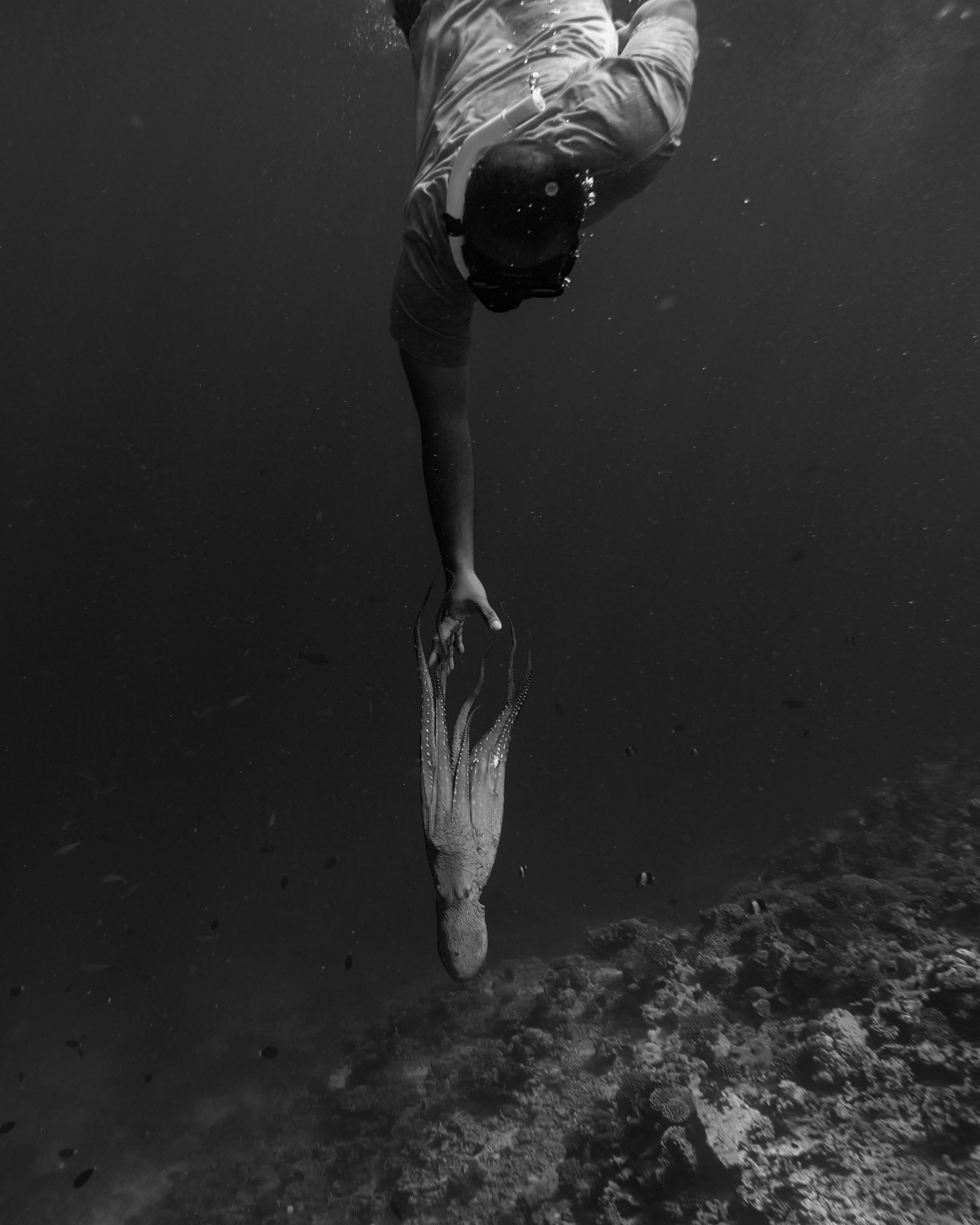 Go to Nabeel Ahmed's profile