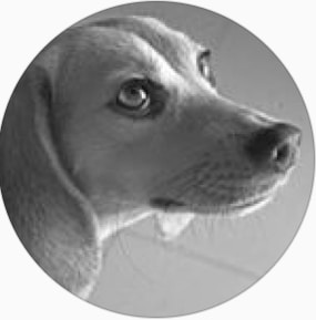 Go to V Srinivasan's profile