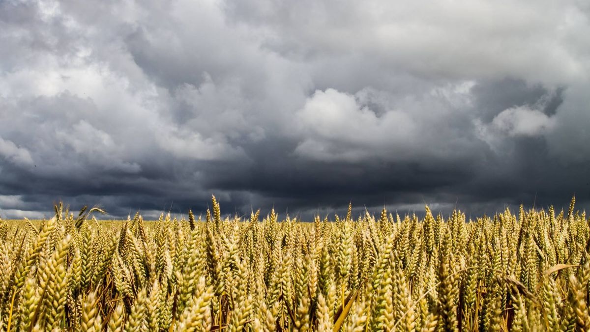 Go to Mat Laurent's profile