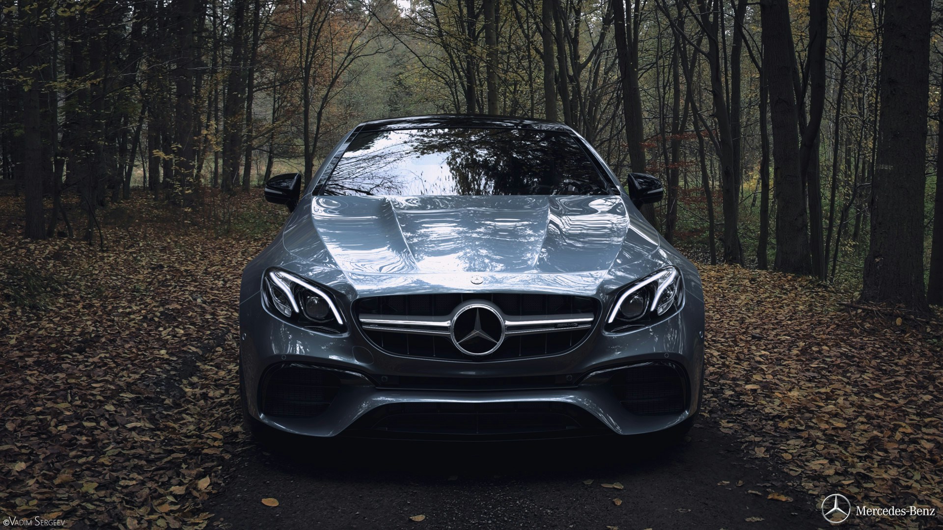 Go to Nikita Shmelev's profile