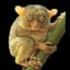 Avatar of user Tarsier TV