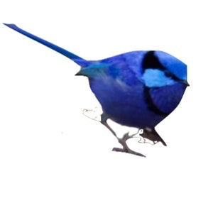 Go to John Duncan's profile