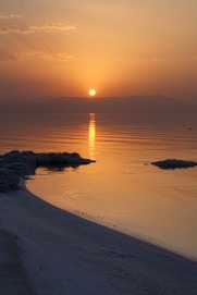 Zum Profil von Ali Gooya