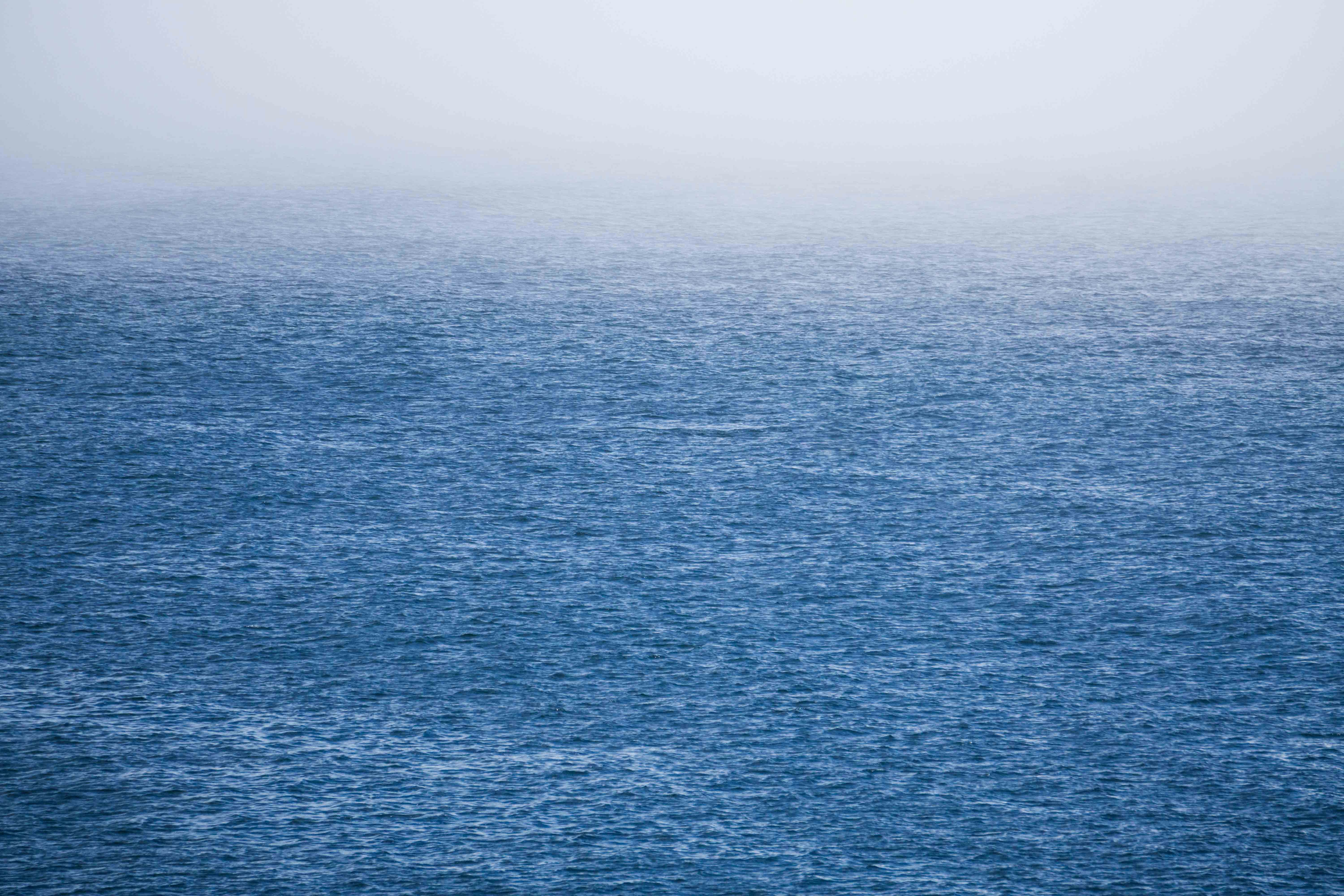 Go to geissht's profile