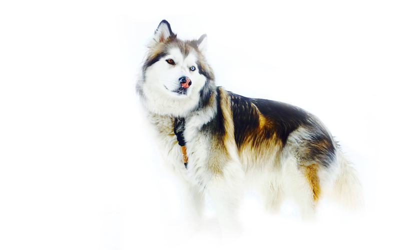 Go to nathaly Wild1's profile