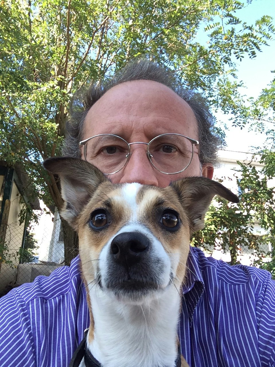 Go to Massimo Rossetti's profile