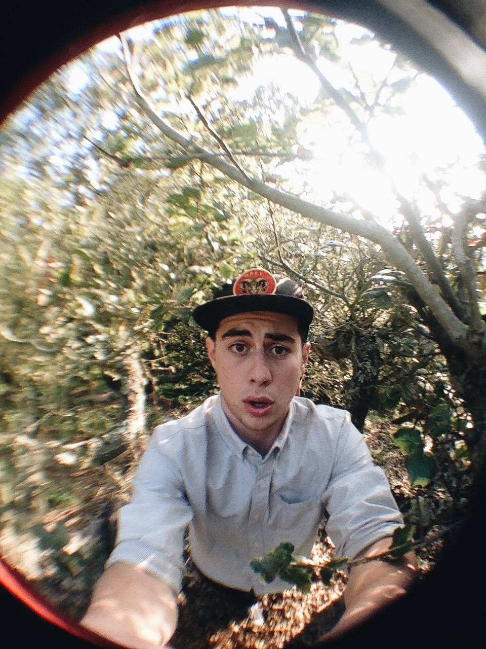 Go to Freddie Collins's profile