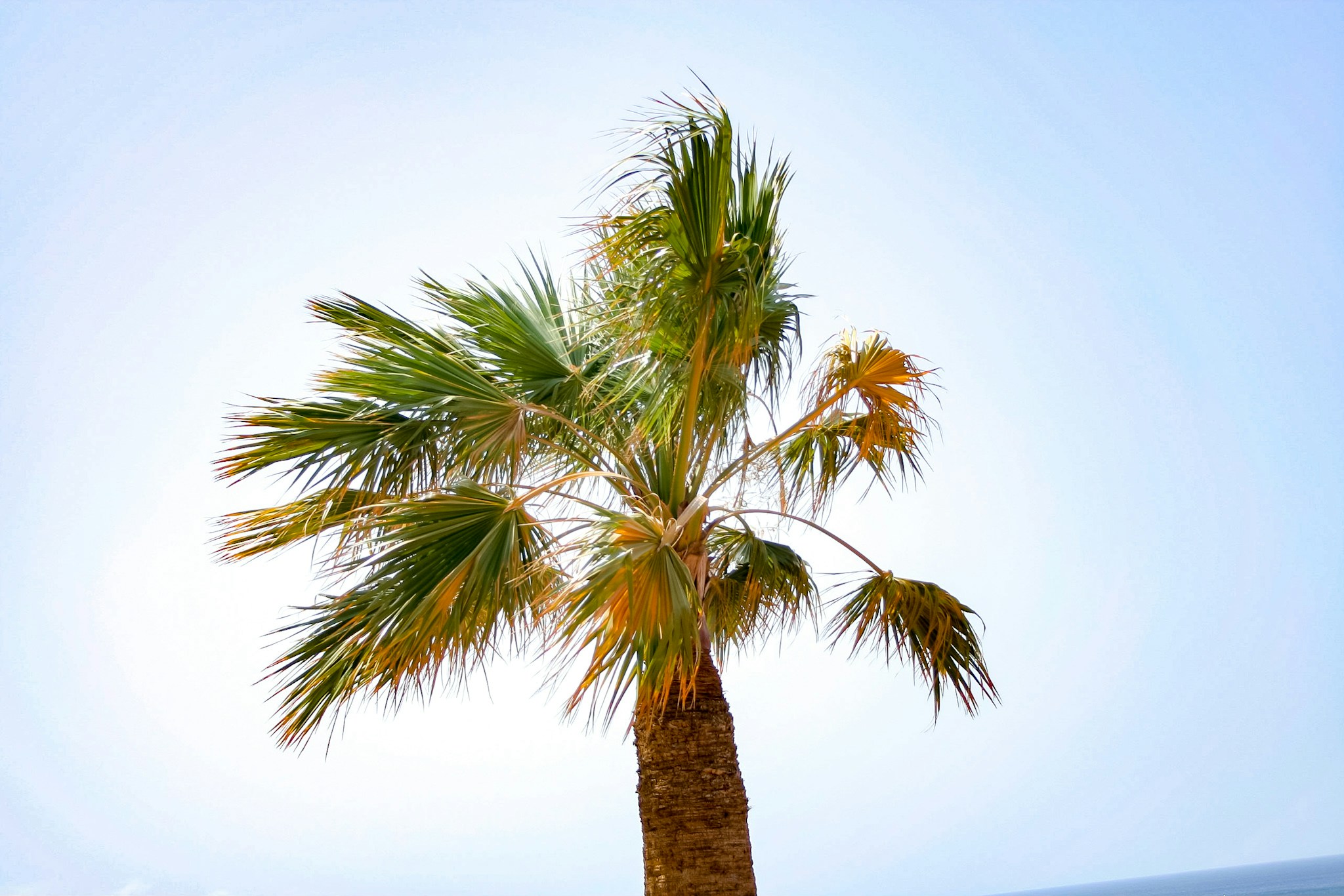 Go to Maximilian Schäffler's profile