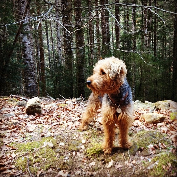 Go to Pablo Martinez's profile