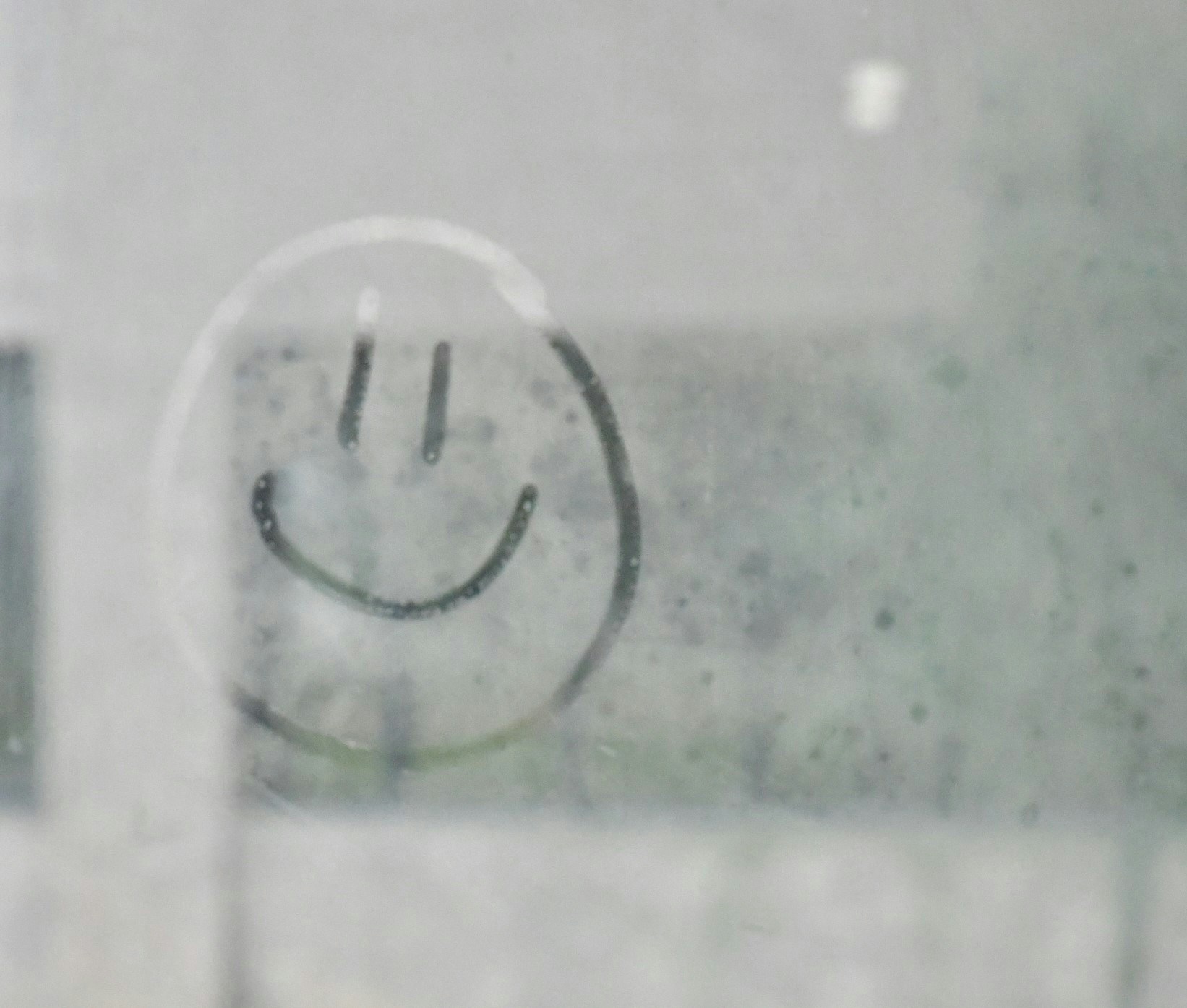 Go to Serenity Mitchell's profile