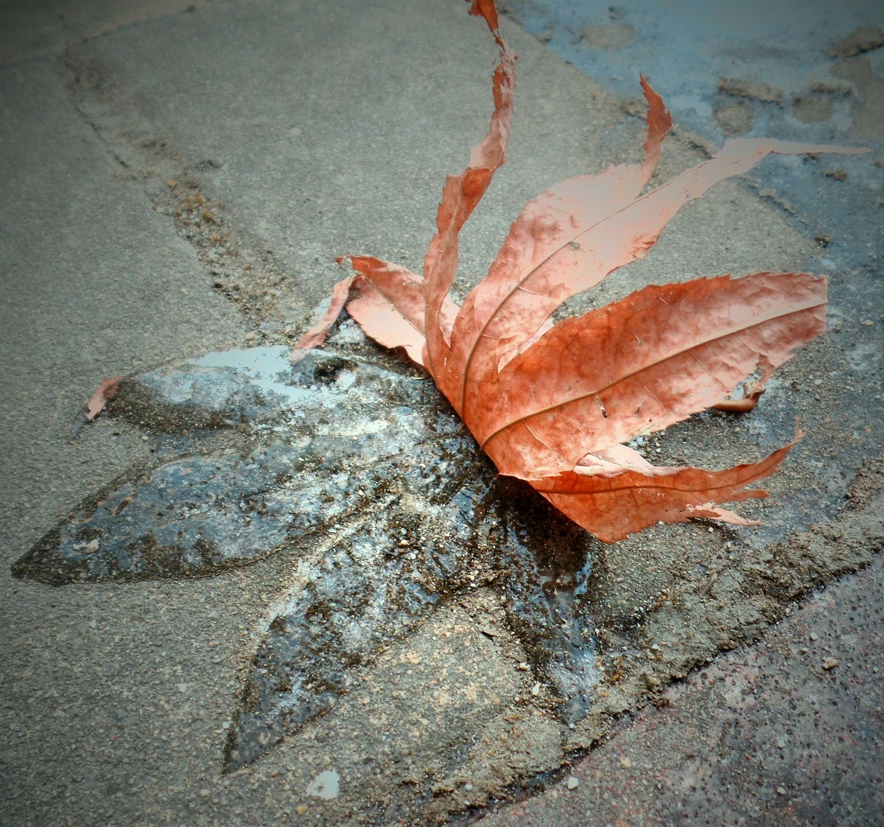 Zum Profil von HONG KYU PARK