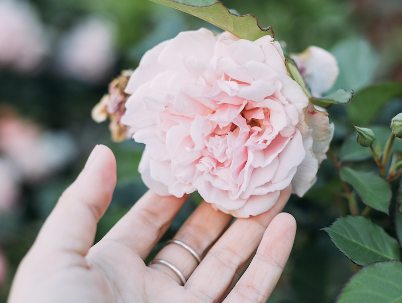 Go to deanna alys's profile