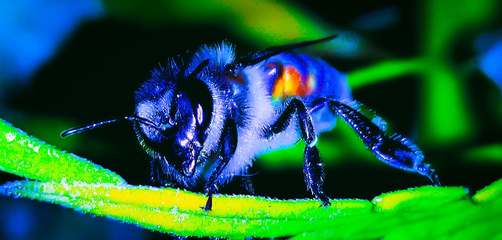 Go to Ray Brown's profile