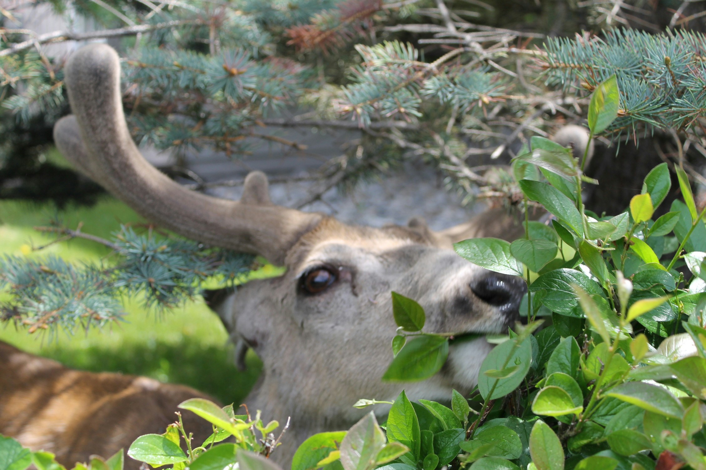 Go to Sandra van Rooij's profile