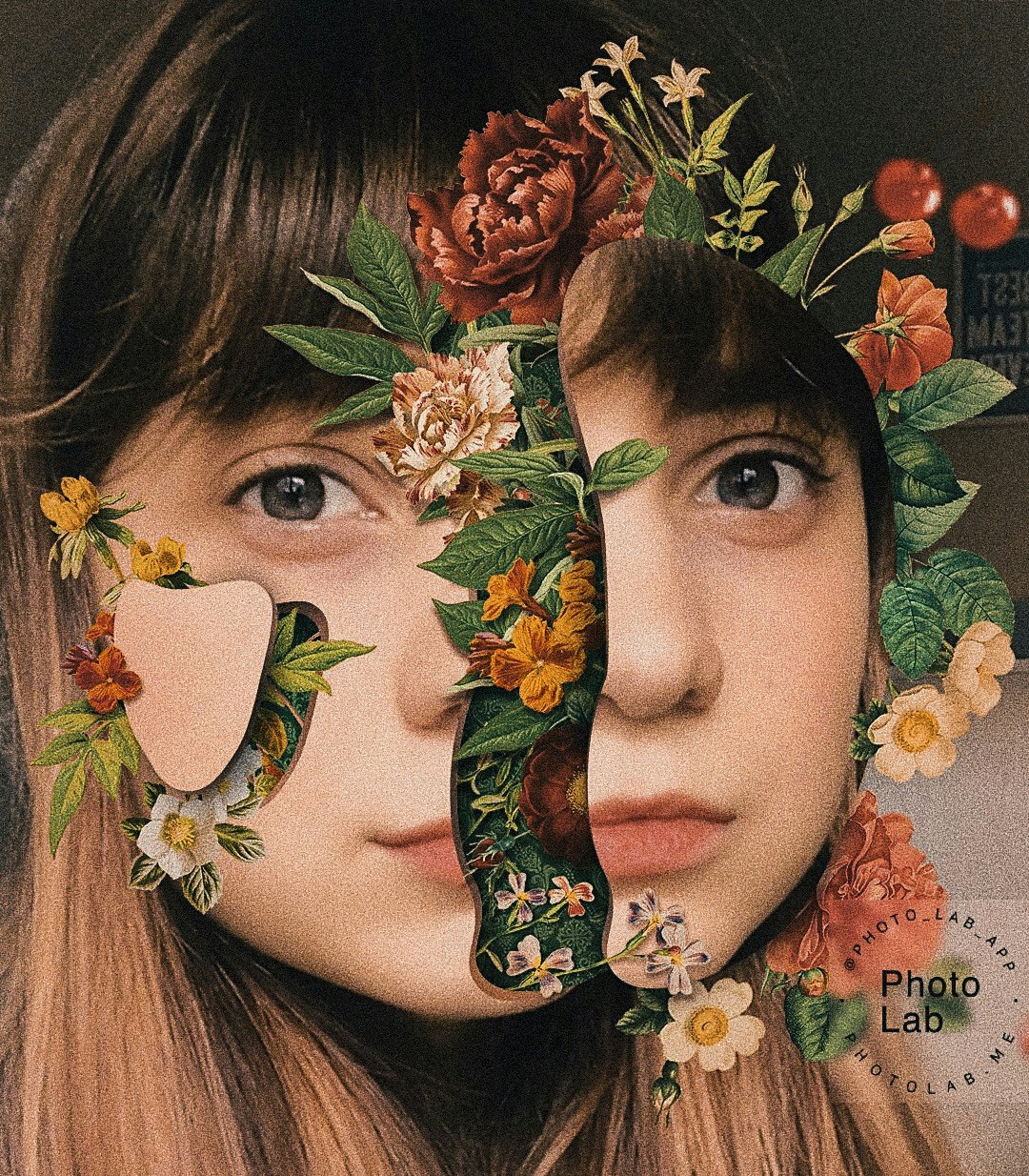 Go to Jane Cibotaru's profile