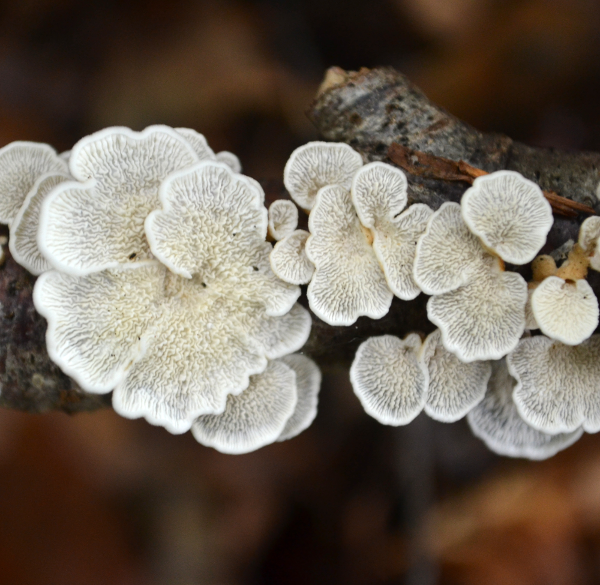 Go to Manuel Joins's profile