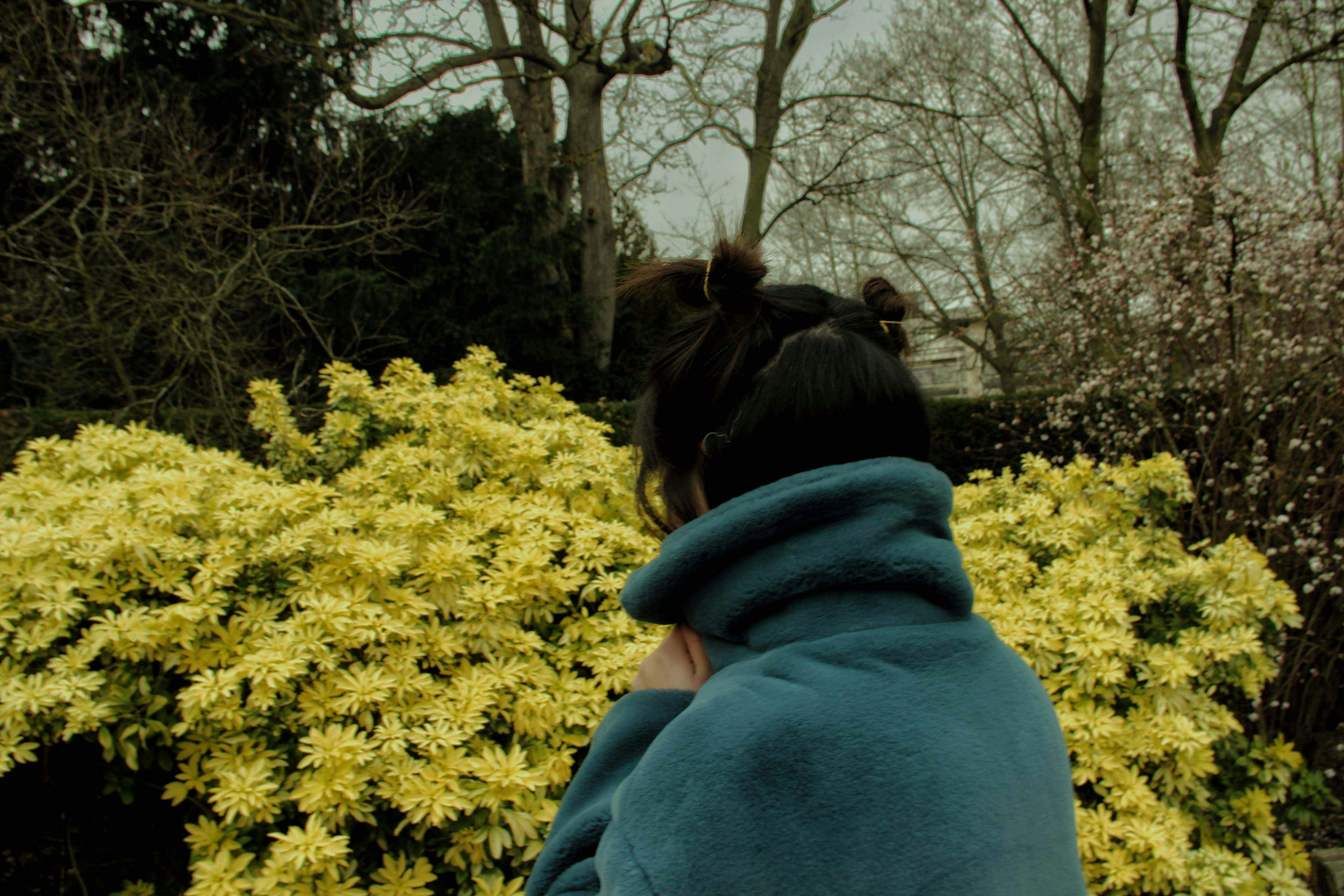 Zum Profil von Maxine yang