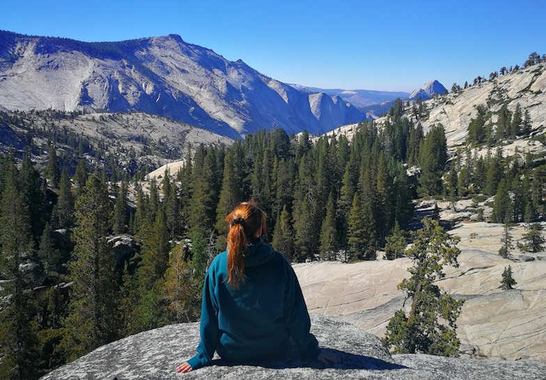 Ve al perfil de Laurasaman