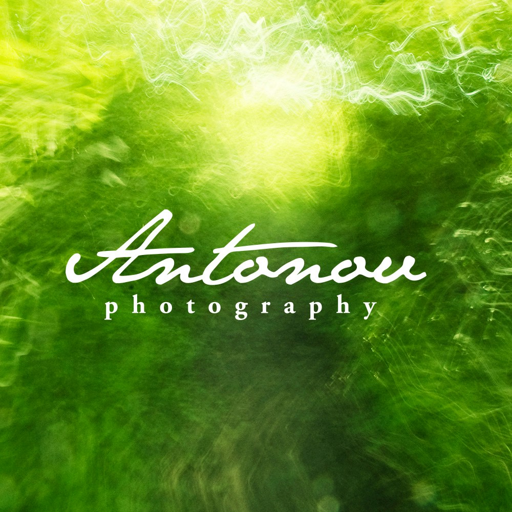 Go to Serg Antonov's profile