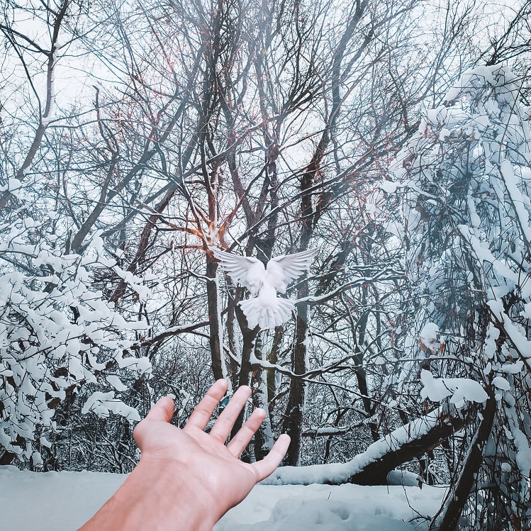 Go to Rostislav Artov's profile