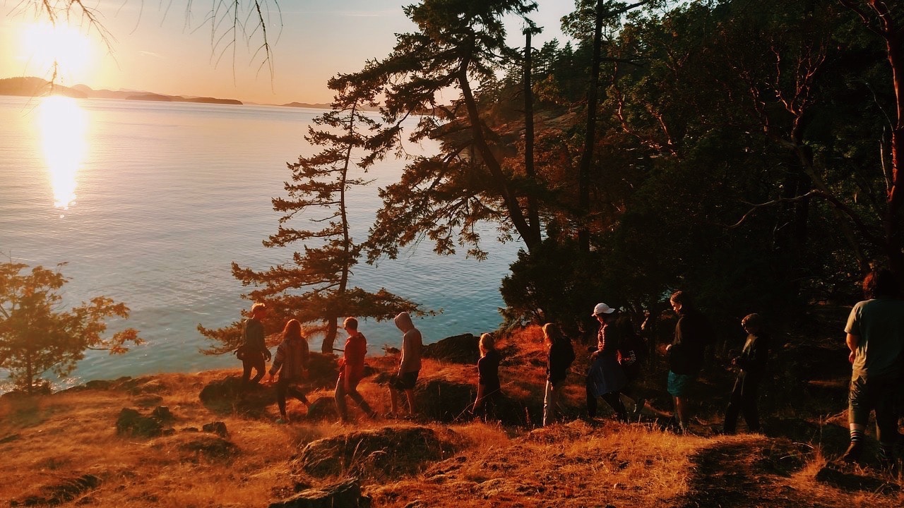 Go to Louisa C.'s profile