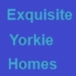 Avatar of user Exquisite Yorkie Homes