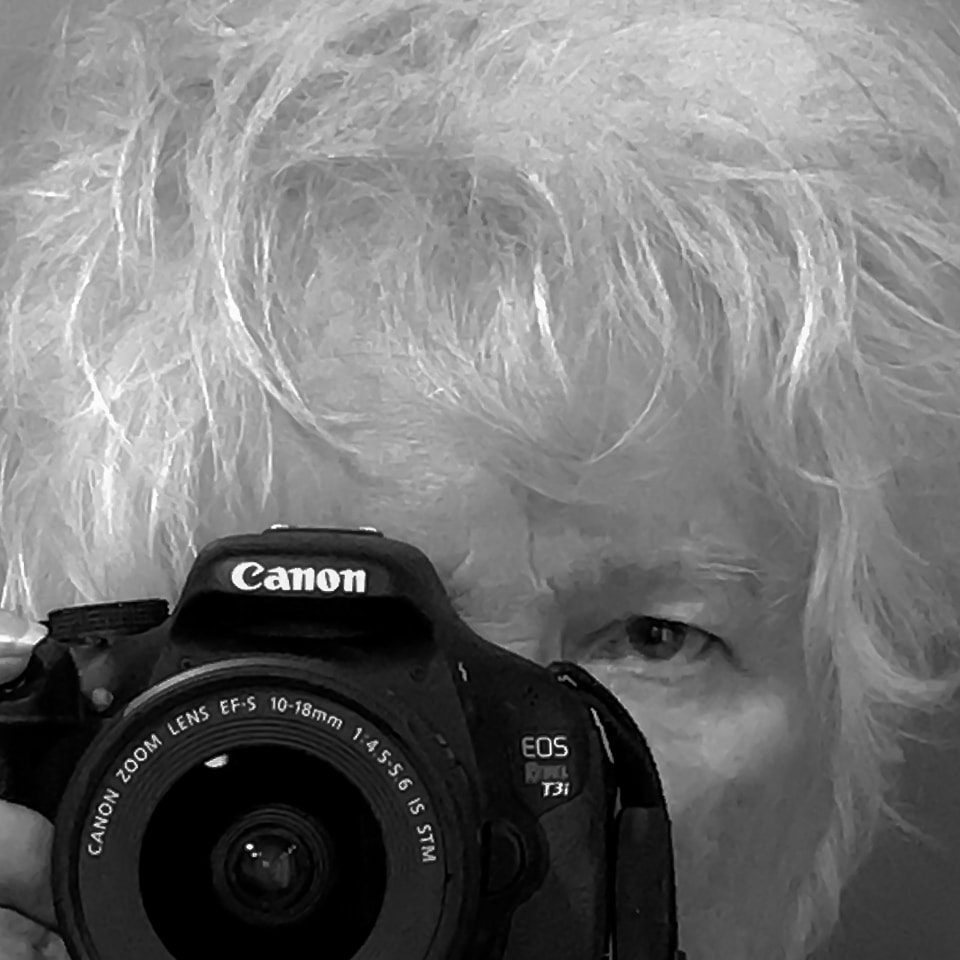 Avatar of user fran hogan