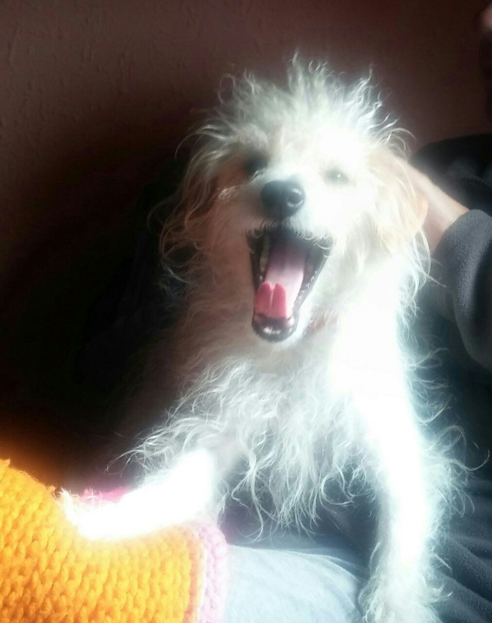 Accéder au profil de Saúl Sánchez