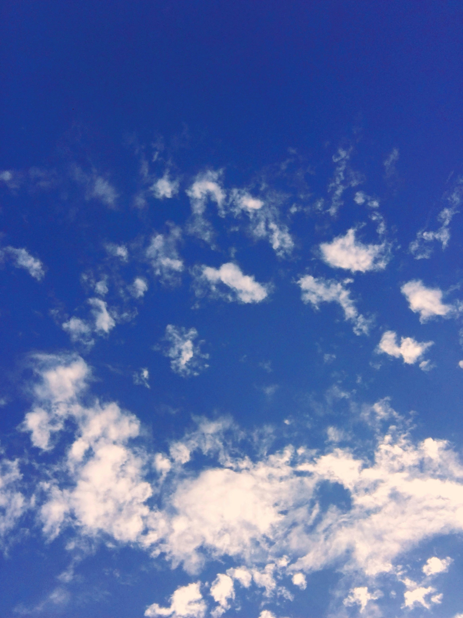 Avatar of user Lauren Bow